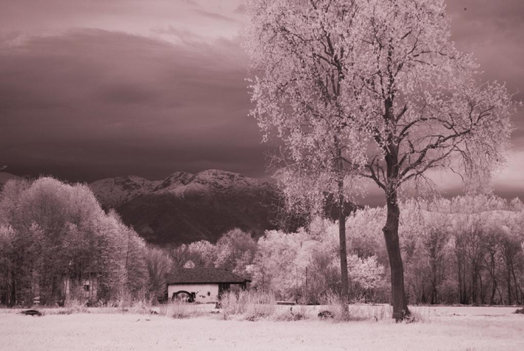 Il Vecchio Mulino Di Bairo Exterior foto